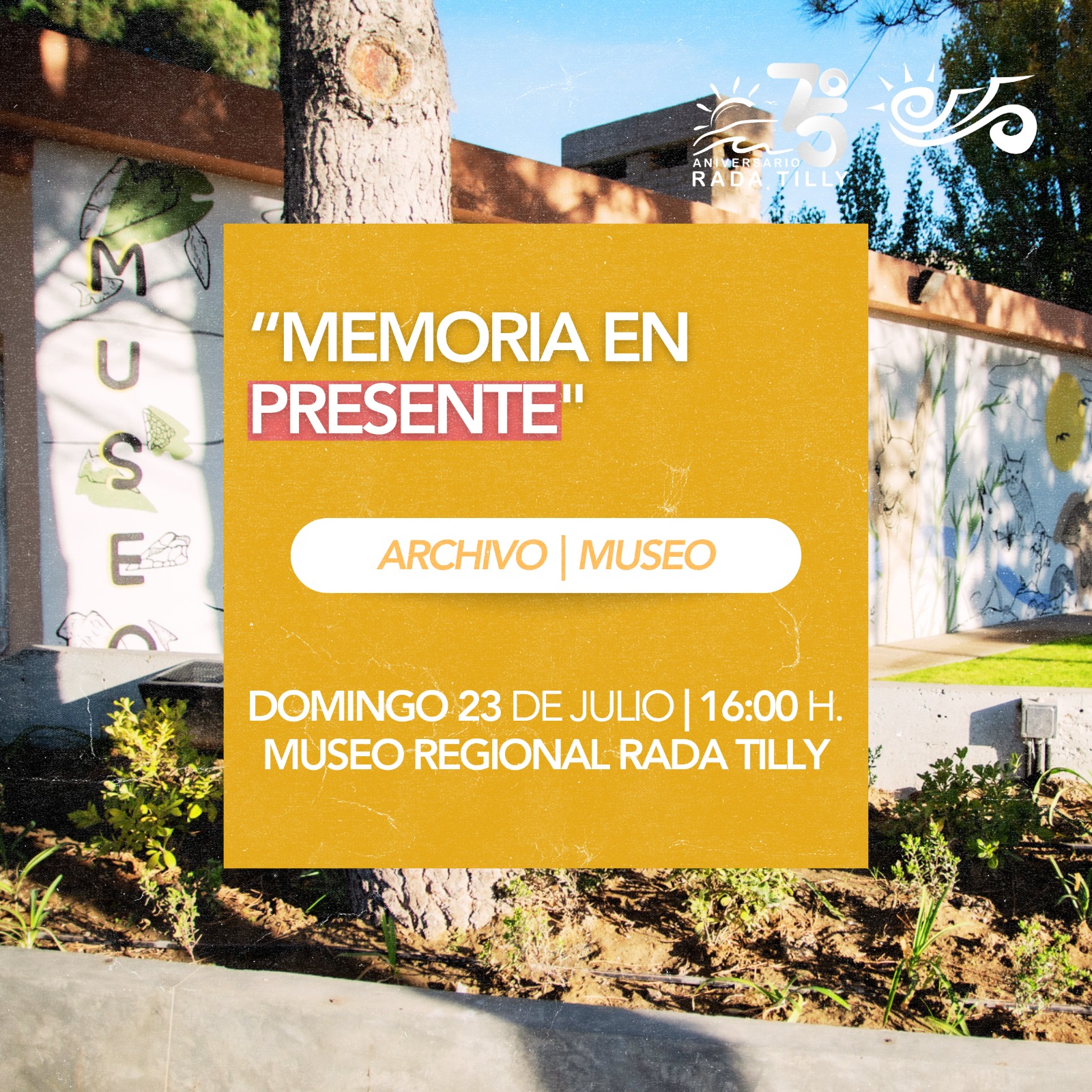 Imagen adicional