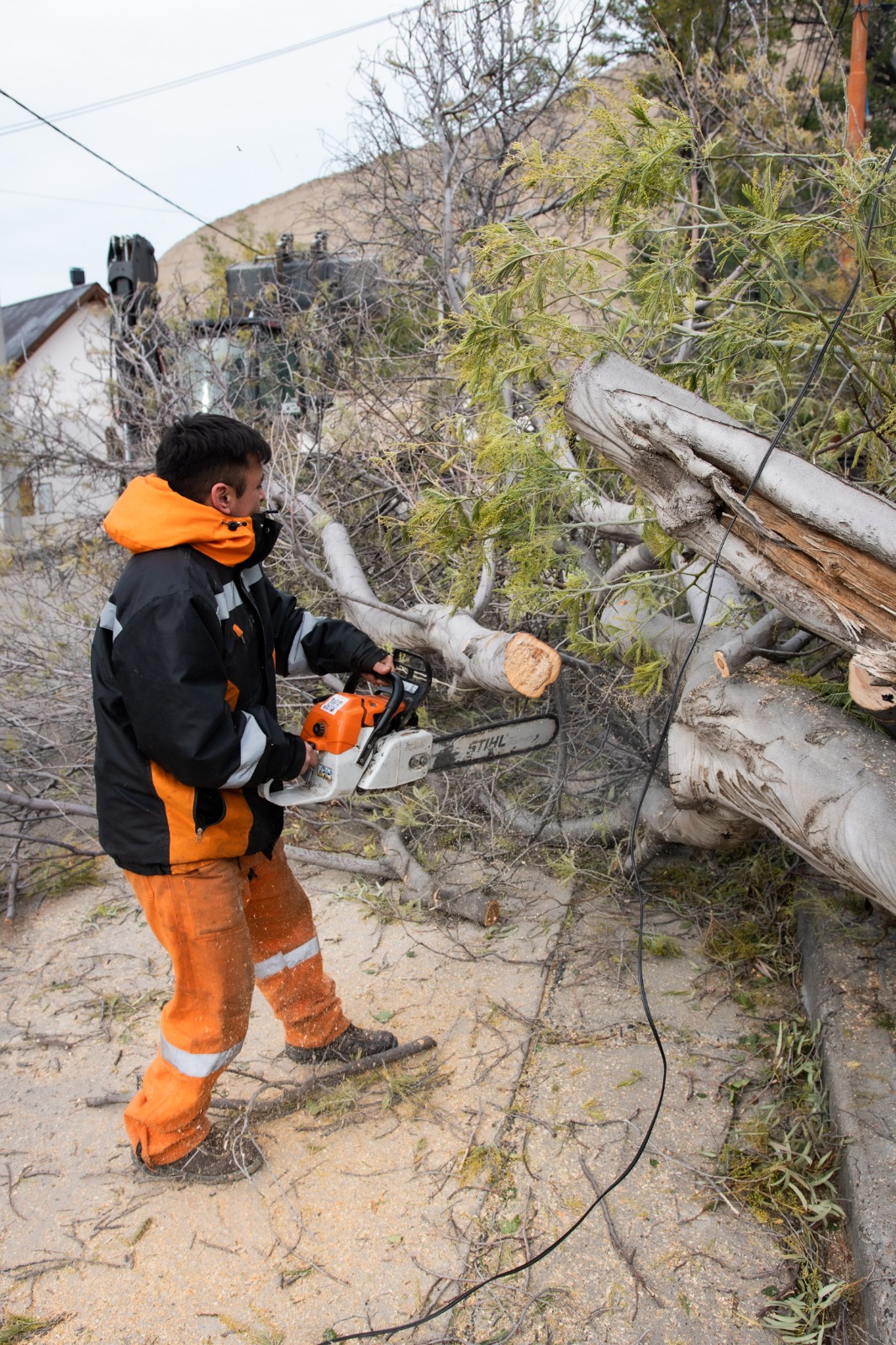 Imagen adicional