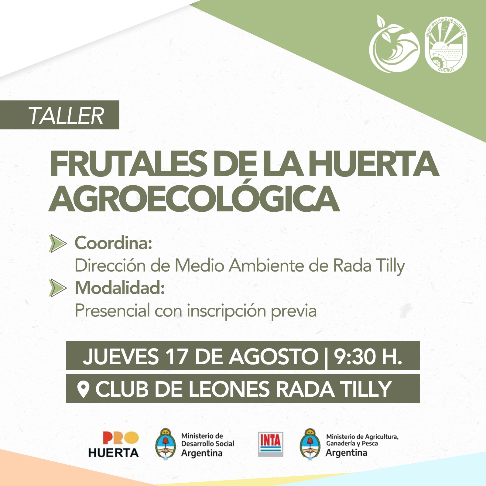 Imagen adicional