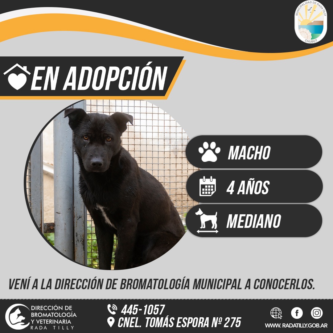 Imagen adicional